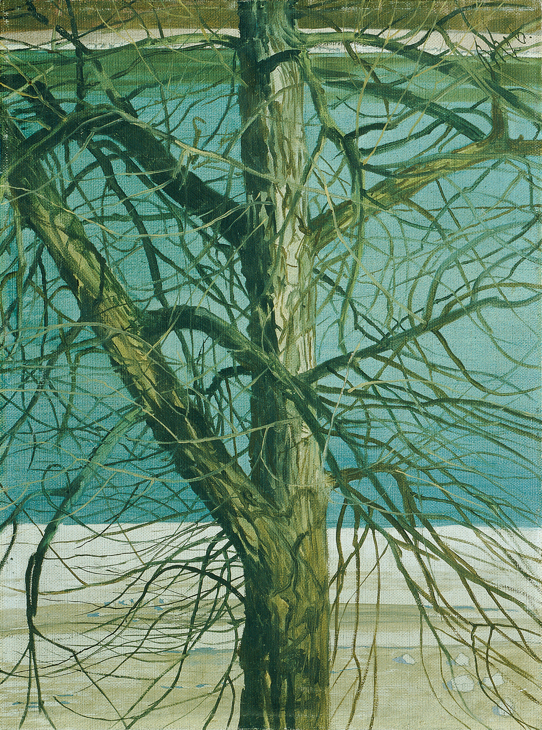 Tree Study on the Danube, 1926