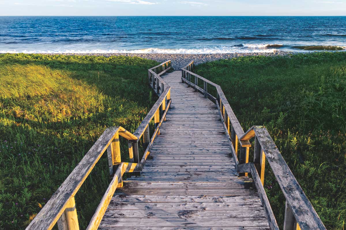 The Way To the Waves