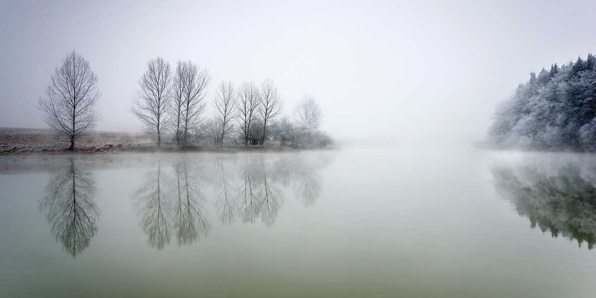La Calma Despues De La Tormenta (The Calm Before The Storm)