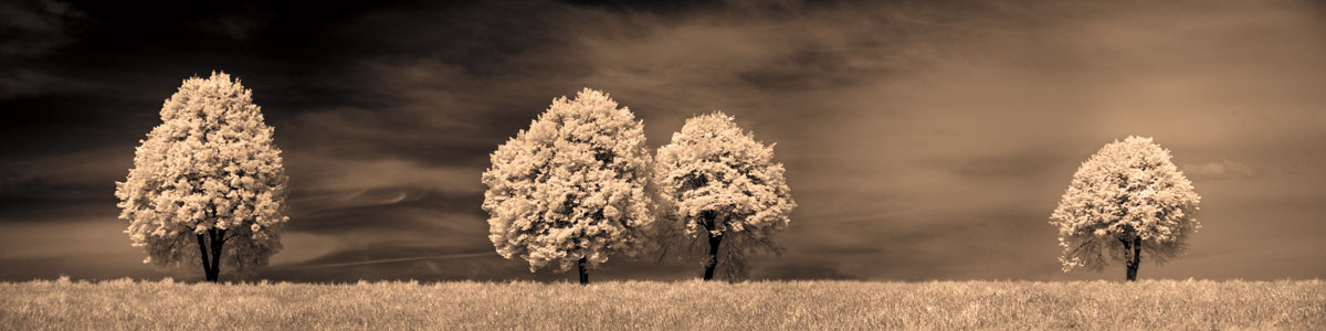 Together & Alone III