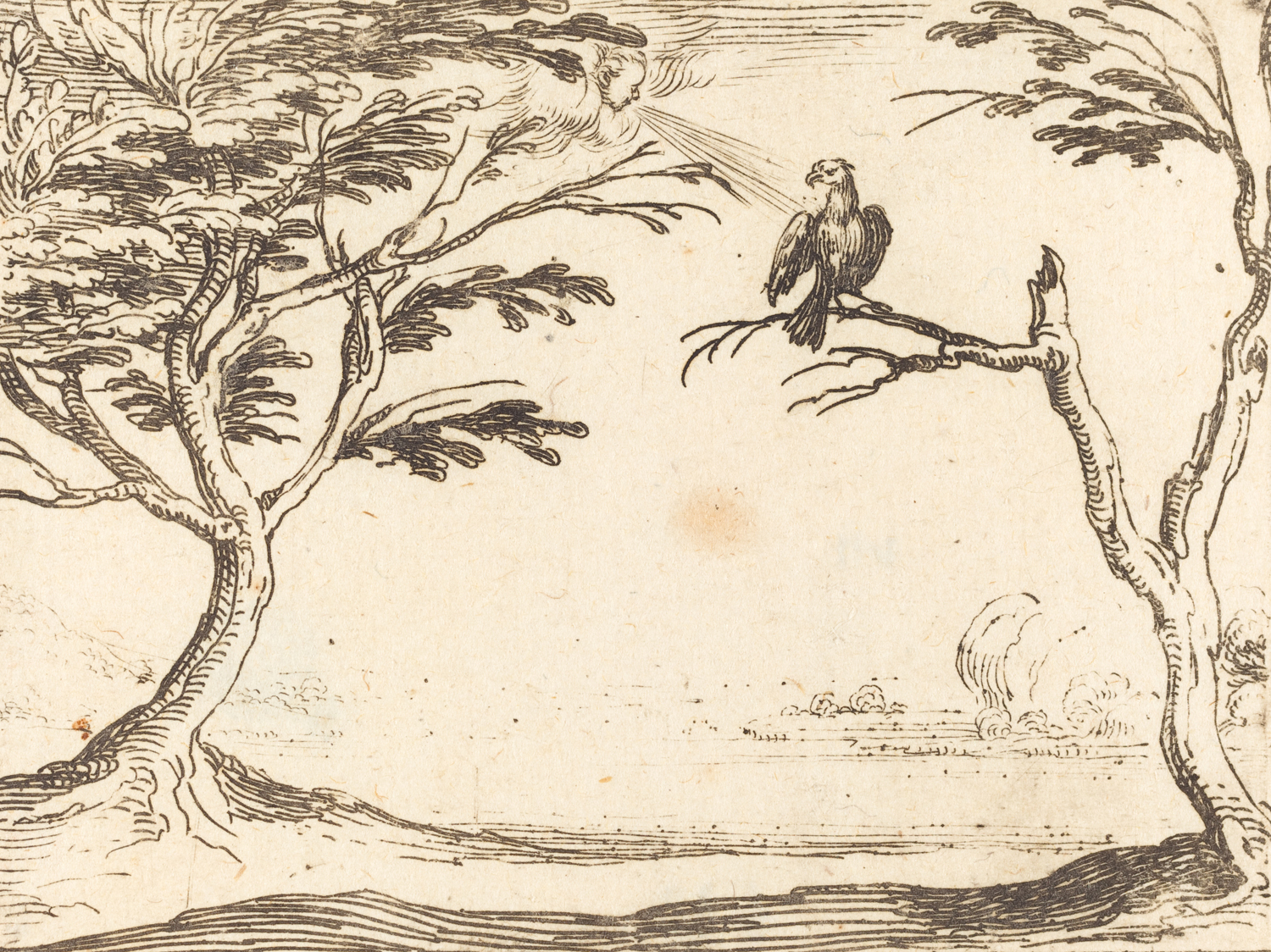The Vulture, 17th century