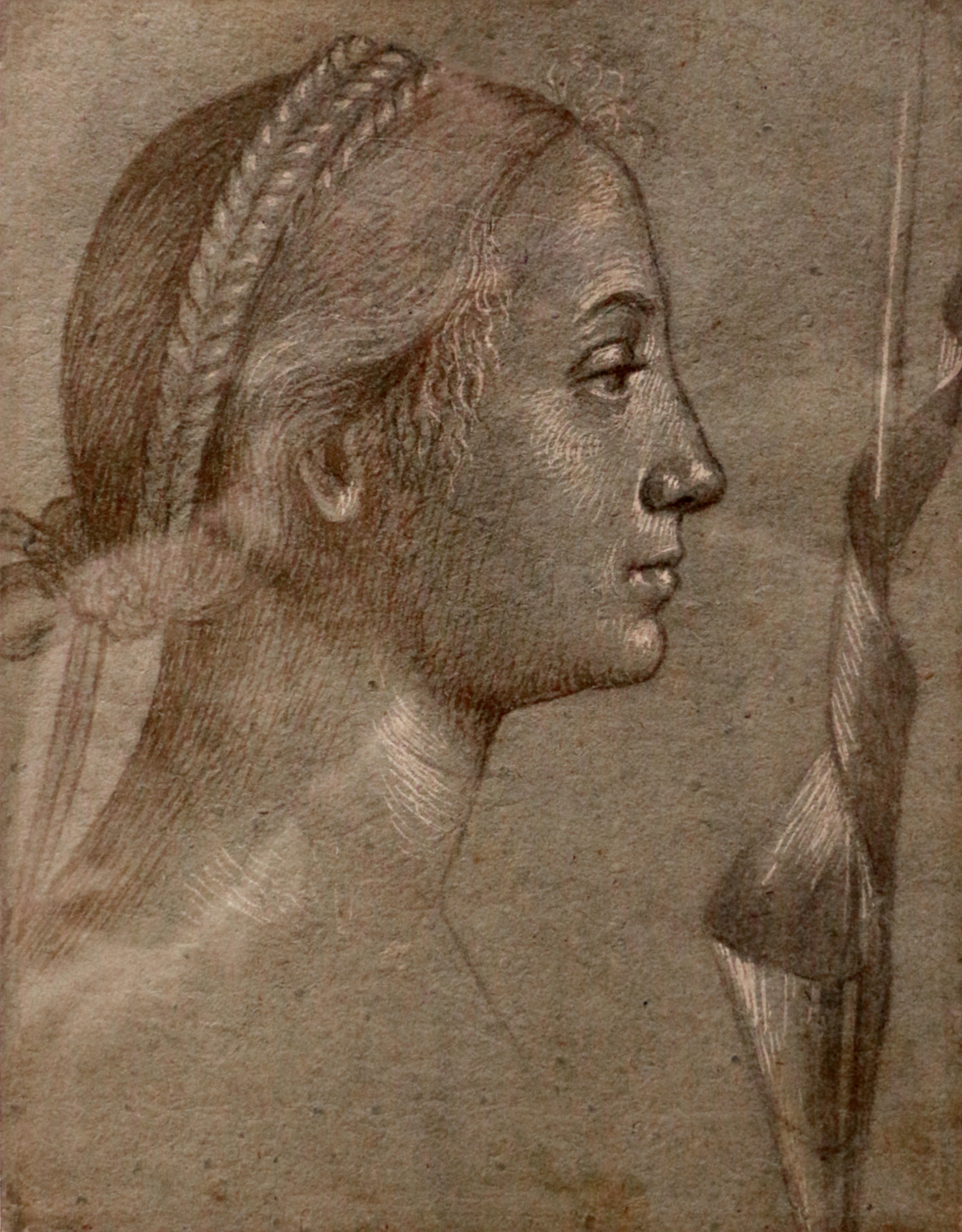 Study of the Head of a Woman for the Apotheosis of St. Ursula, c.1490-1500