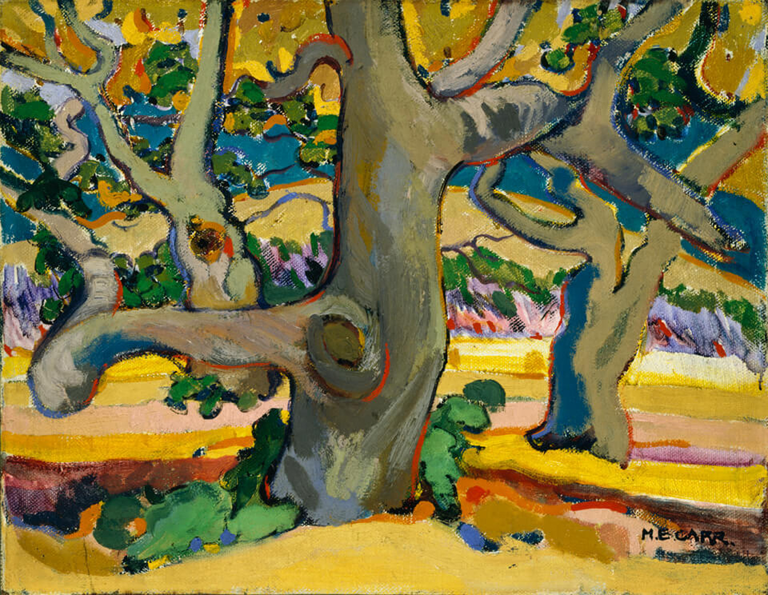 Trees in France