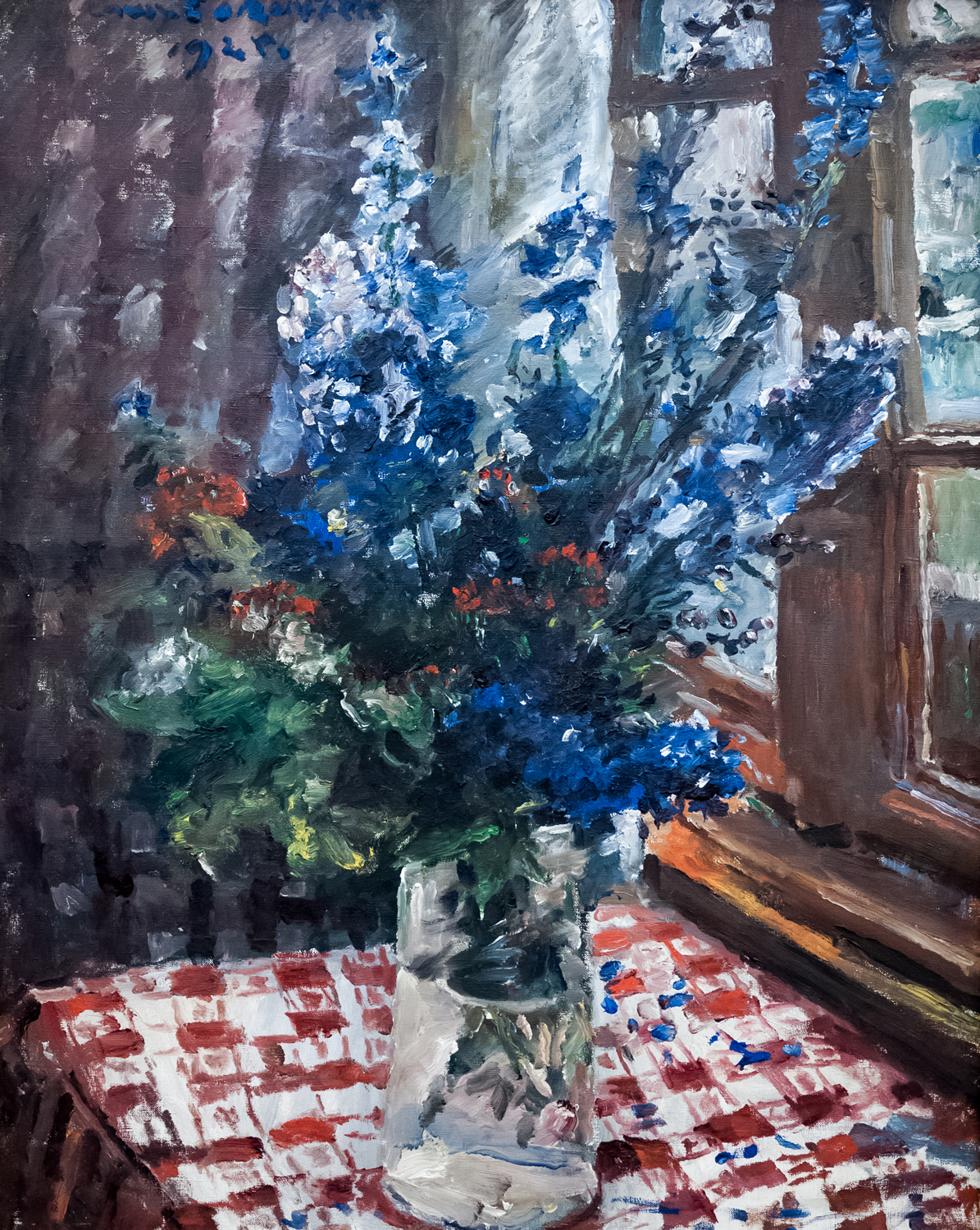 Delphinium, 1924