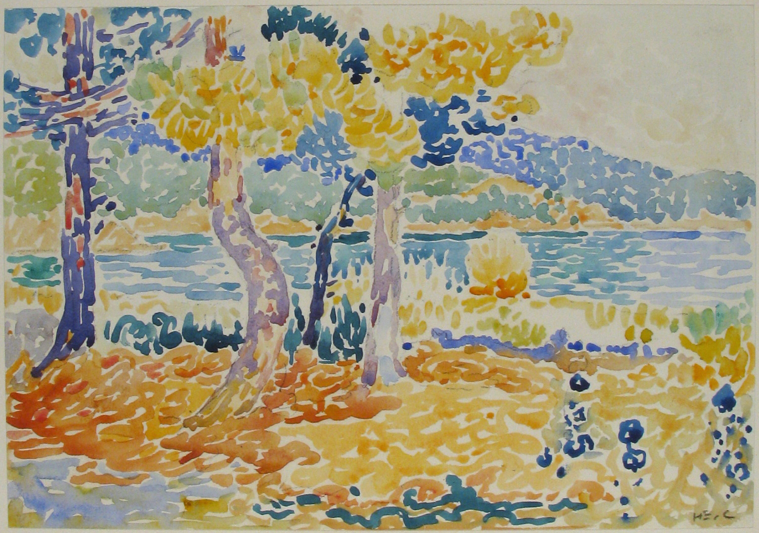 Pines on the Coastline