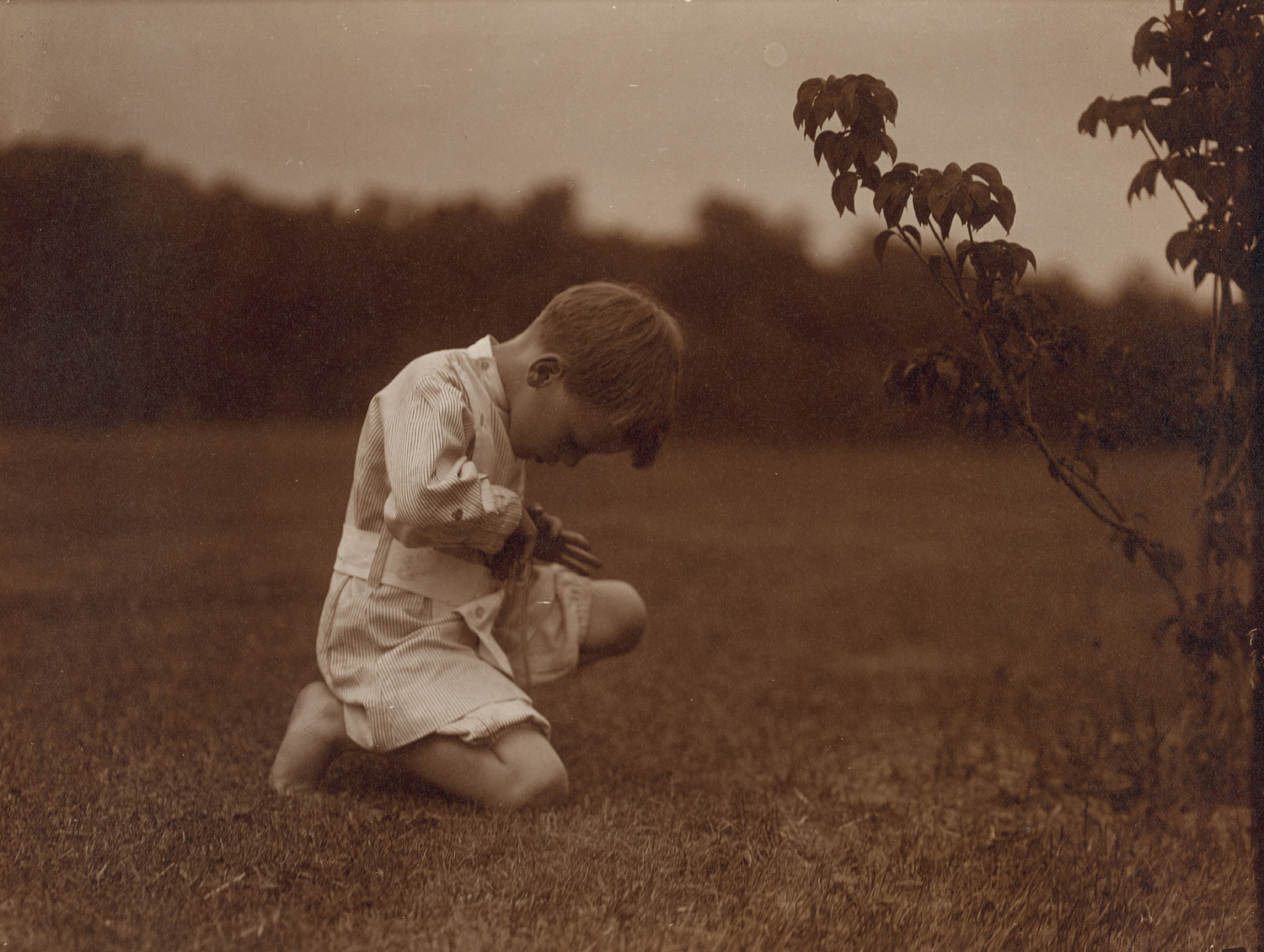 Quentin and the June Bug, 1904