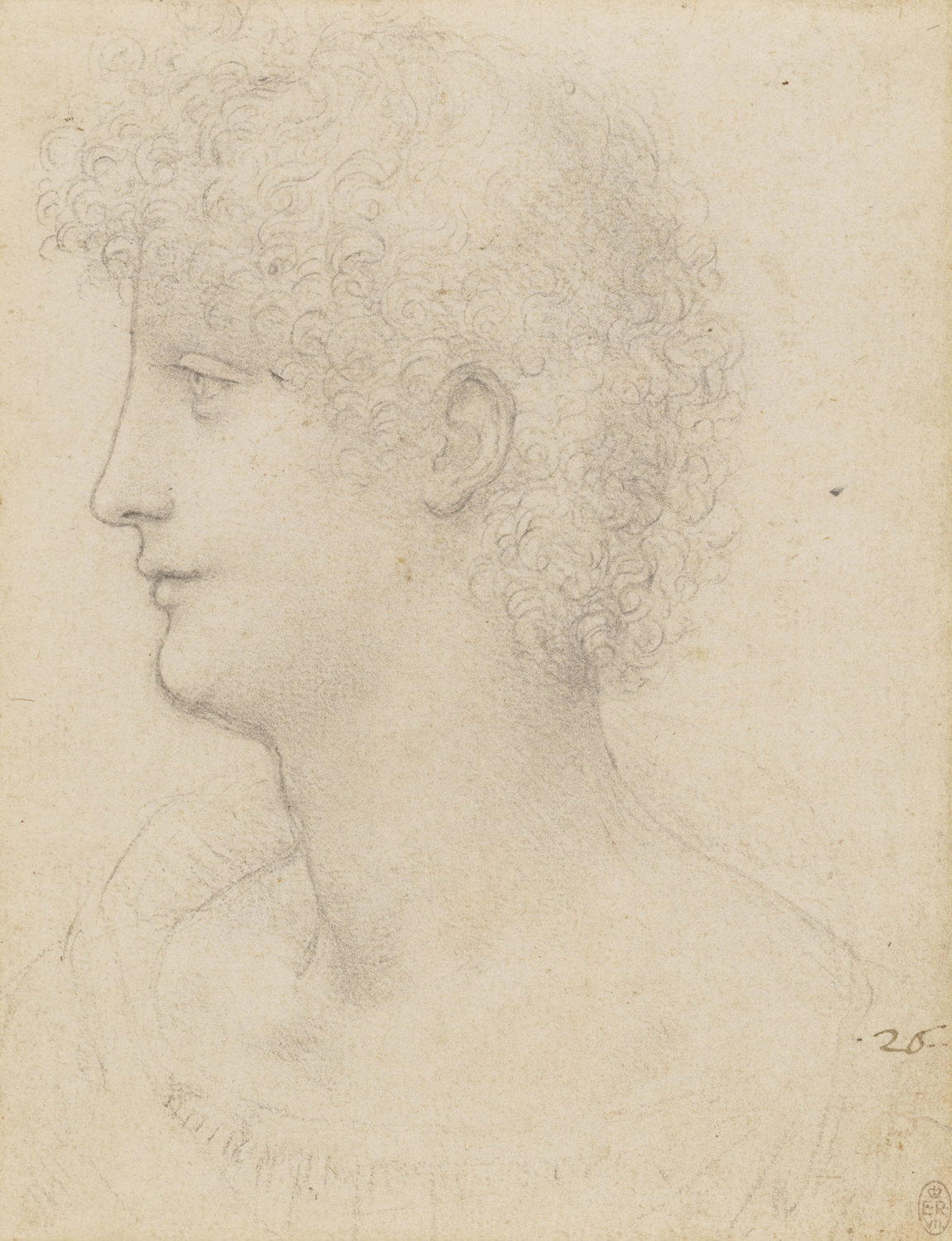 The Head of a Youth, c.1517-18
