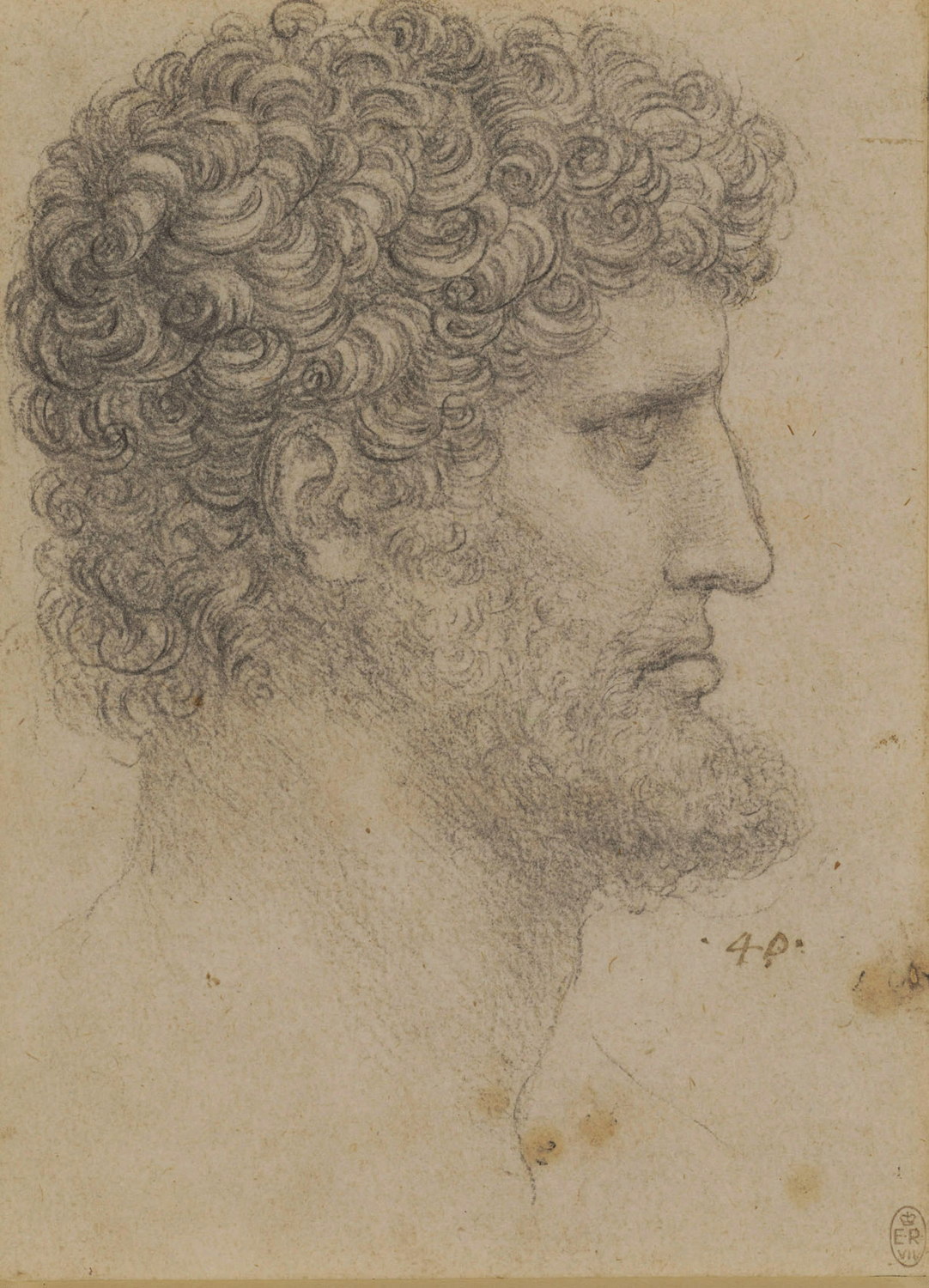 The Head of a Bearded Man, c.1517-18