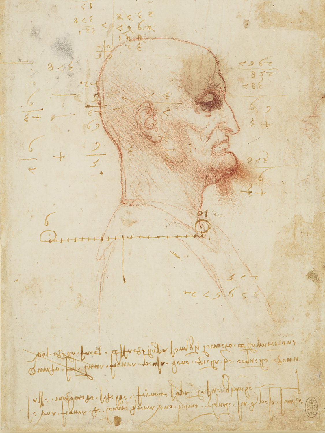 A Bald Man in Profile, with Mathematical Calculations and Notes, c. 1492-95