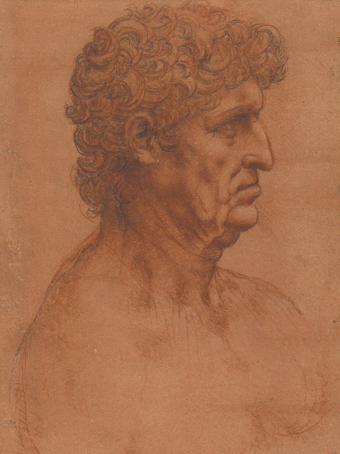 The Bust of a Man, c.1510