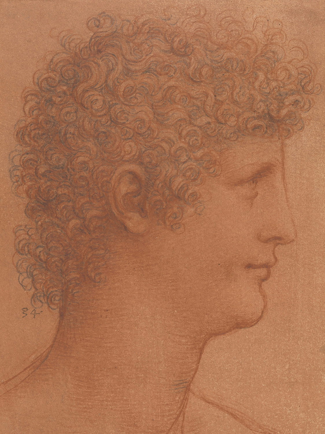 The Head of a Youth, c.1510
