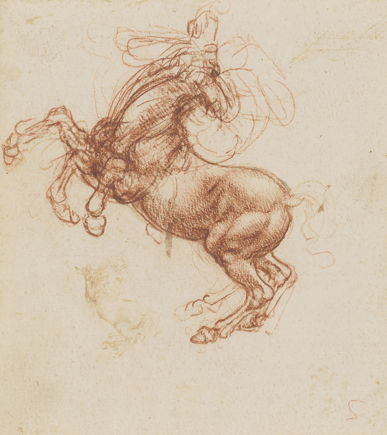 A Rearing Horse, c. 1503-04