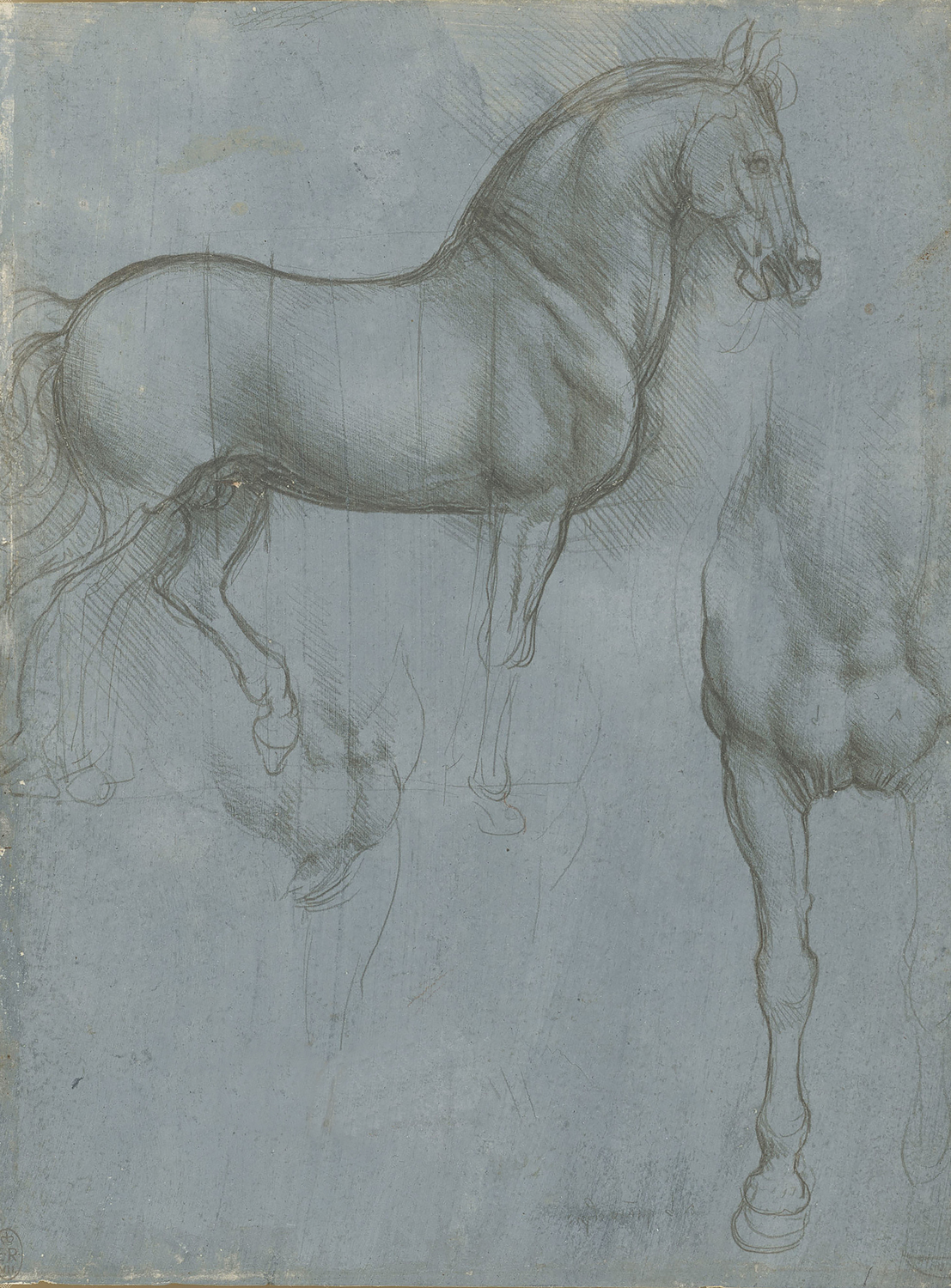 Studies of a Horse, c. 1490
