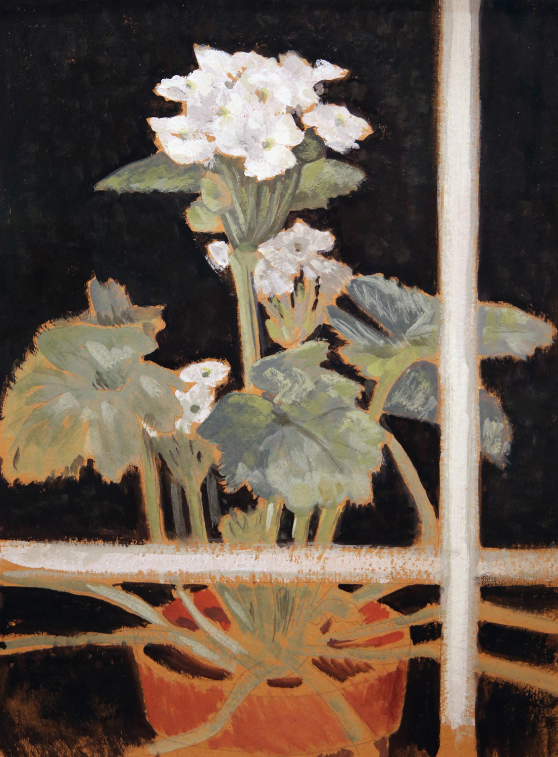 Primrose, 1916-17