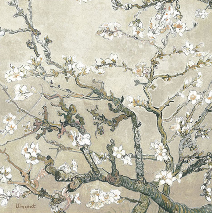 Almond Branches in Tan, San Remy