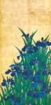 Japanese Irises