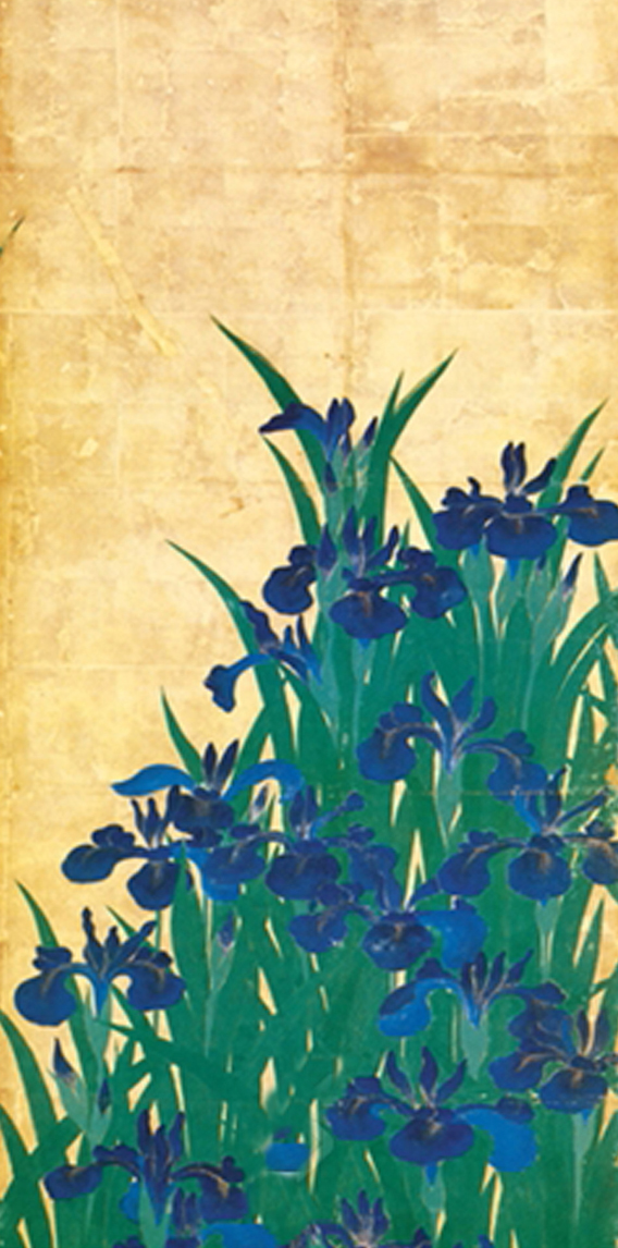 Japanese Irises