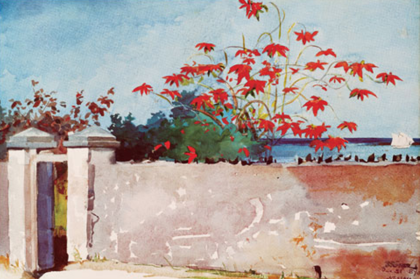 A Wall, Nassau, 1898