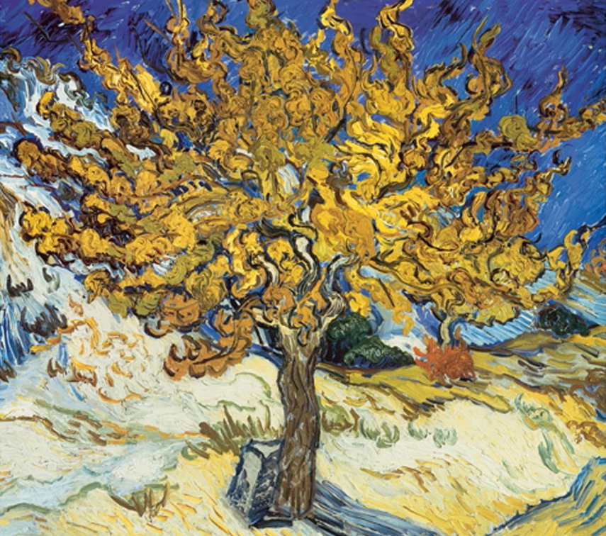 Mulberry Tree, c. 1889