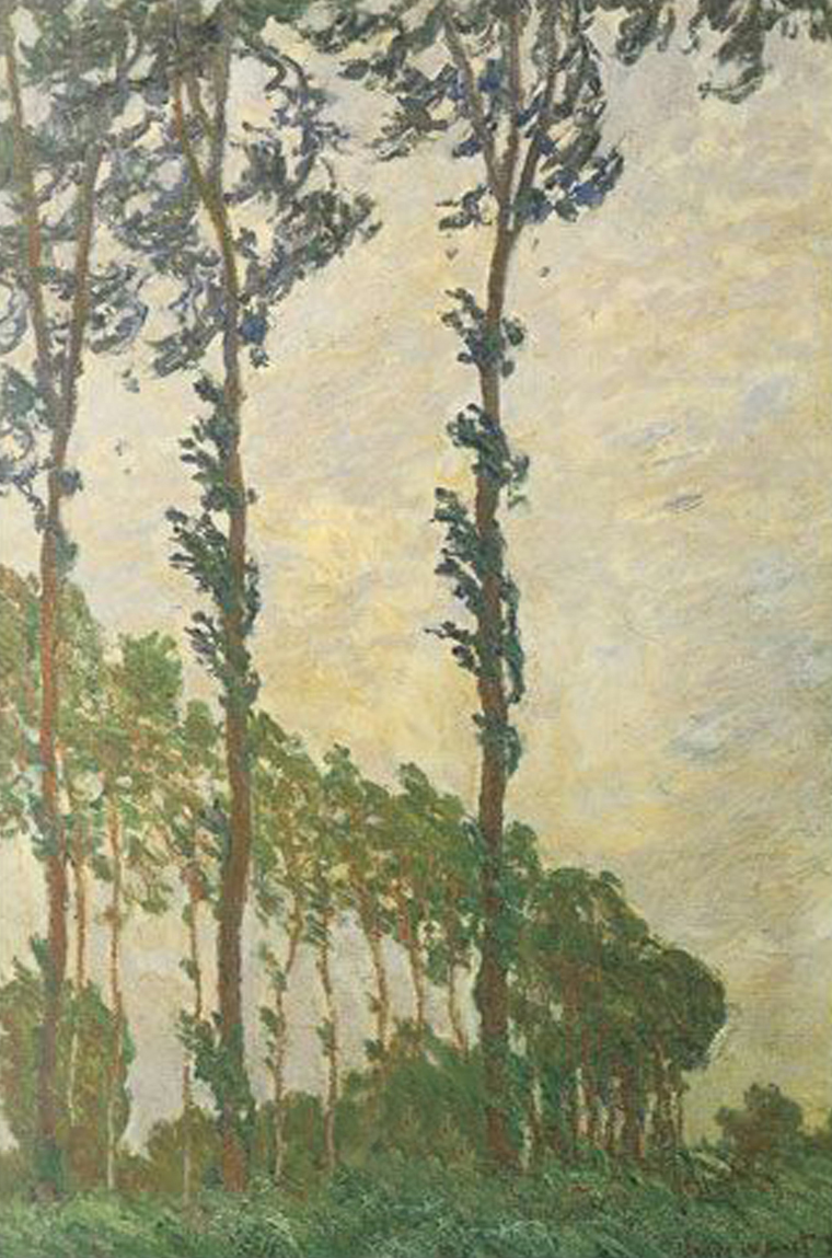 Wind Effect, Poplar Series