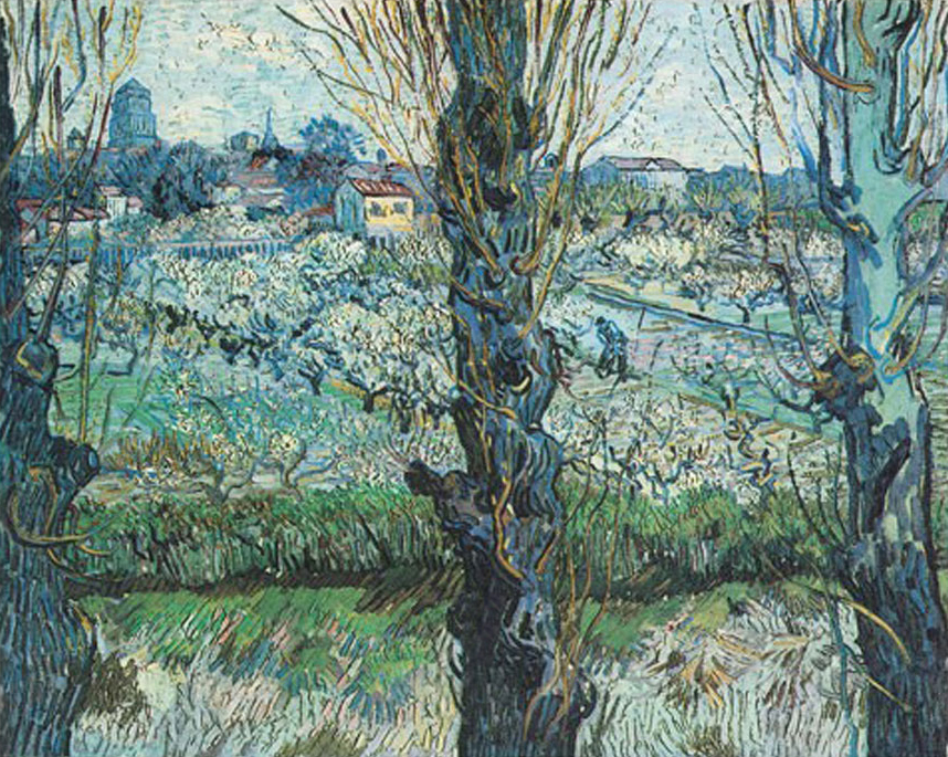 Orchard In Bloom with Poplars
