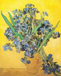 Vase with Violet Irises Against a Yellow Background