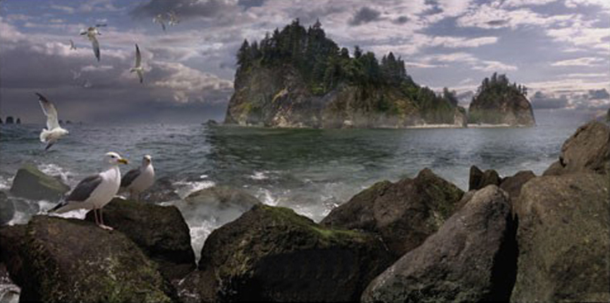 Seastack Gullage