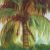 Tropics I Palm Tree