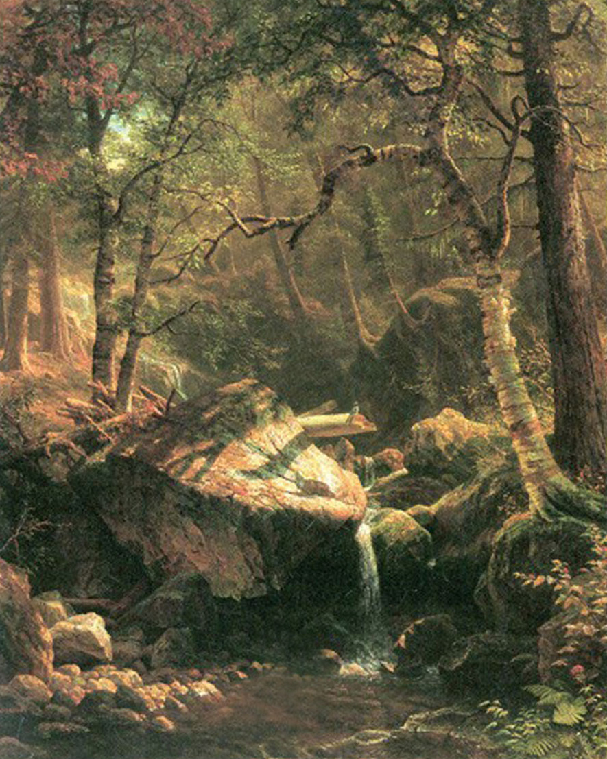 The Mountain Brook