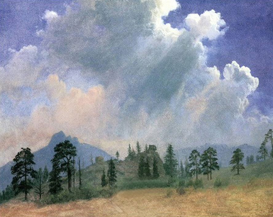 Fir Trees and Storm Clouds