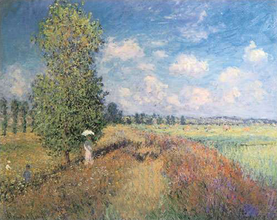 Summer, Field of Poppies