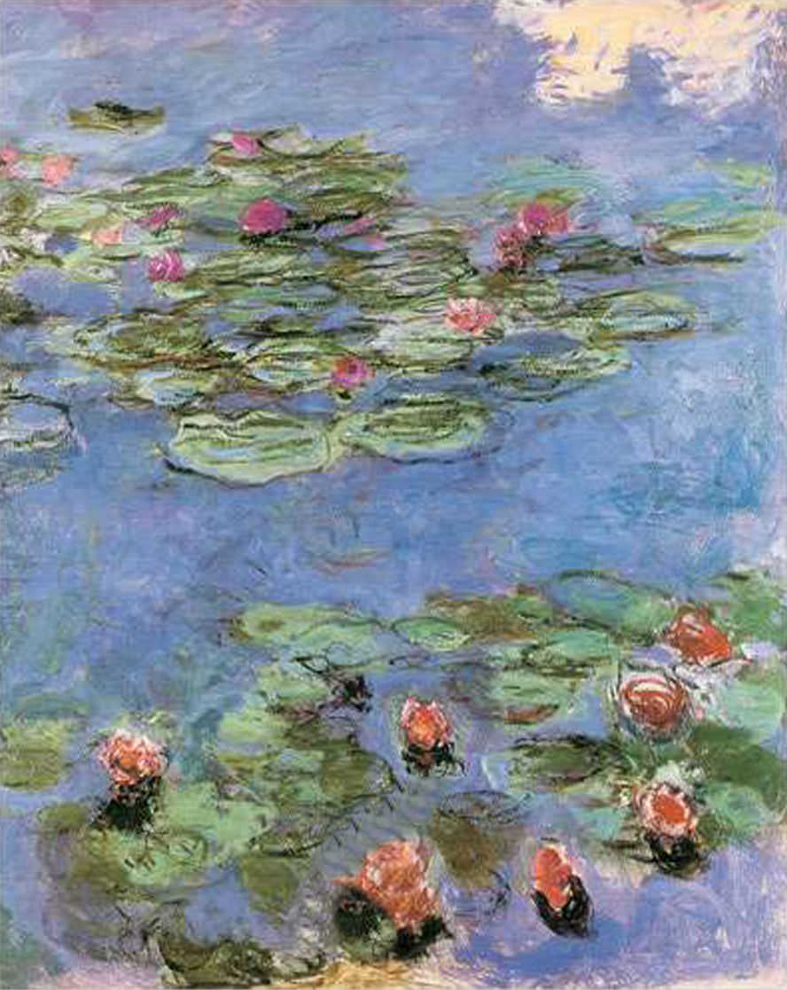 Waterlilies