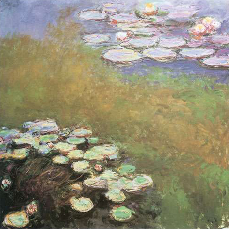 Waterlilies