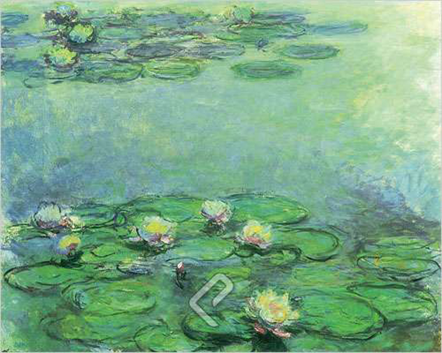 Waterlilies