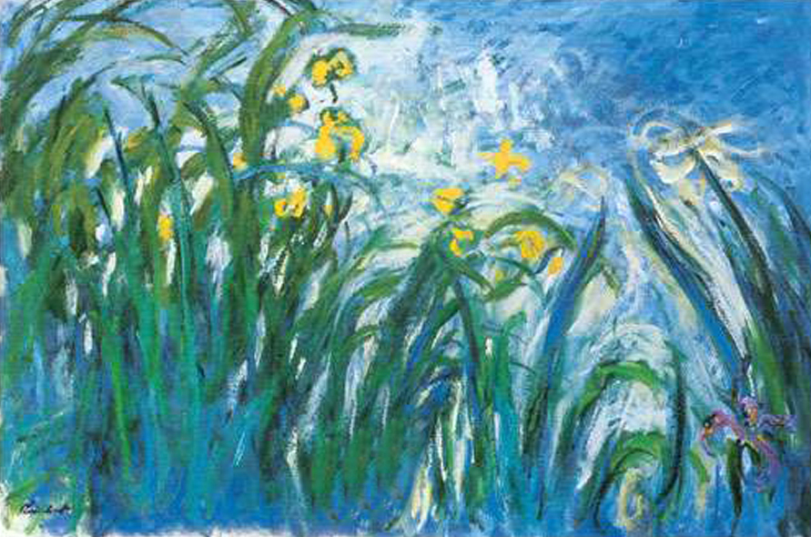 The Irises