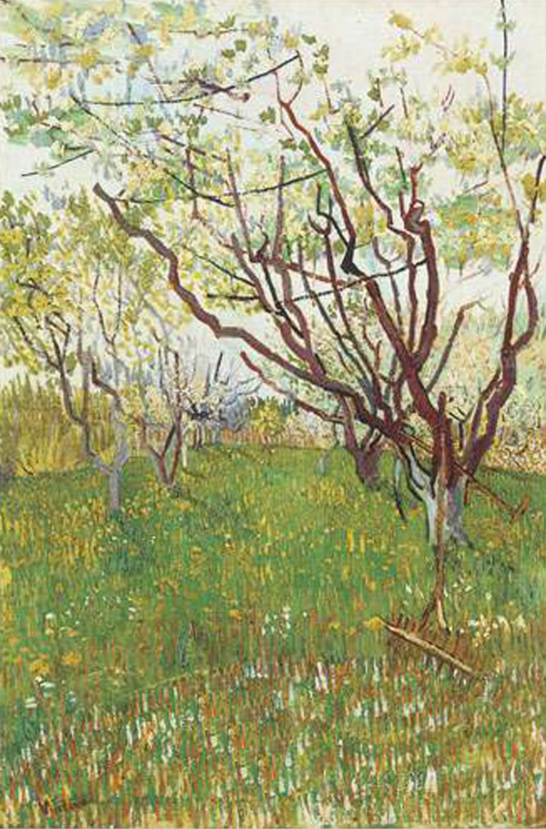 Flowering Orchard