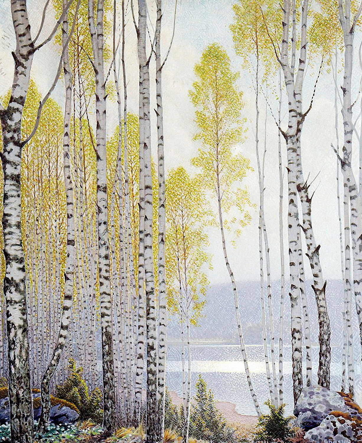 Spring Birches, 20th century