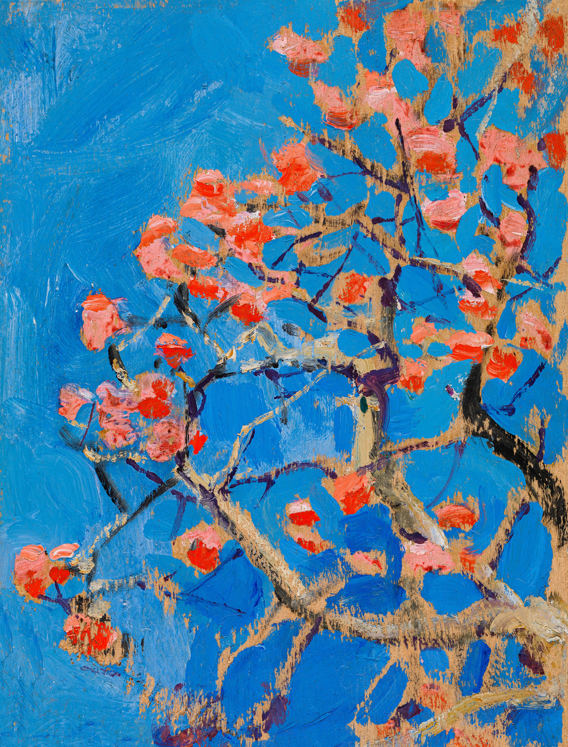 Blooming Coral Tree in Blossom, c. 1909-10