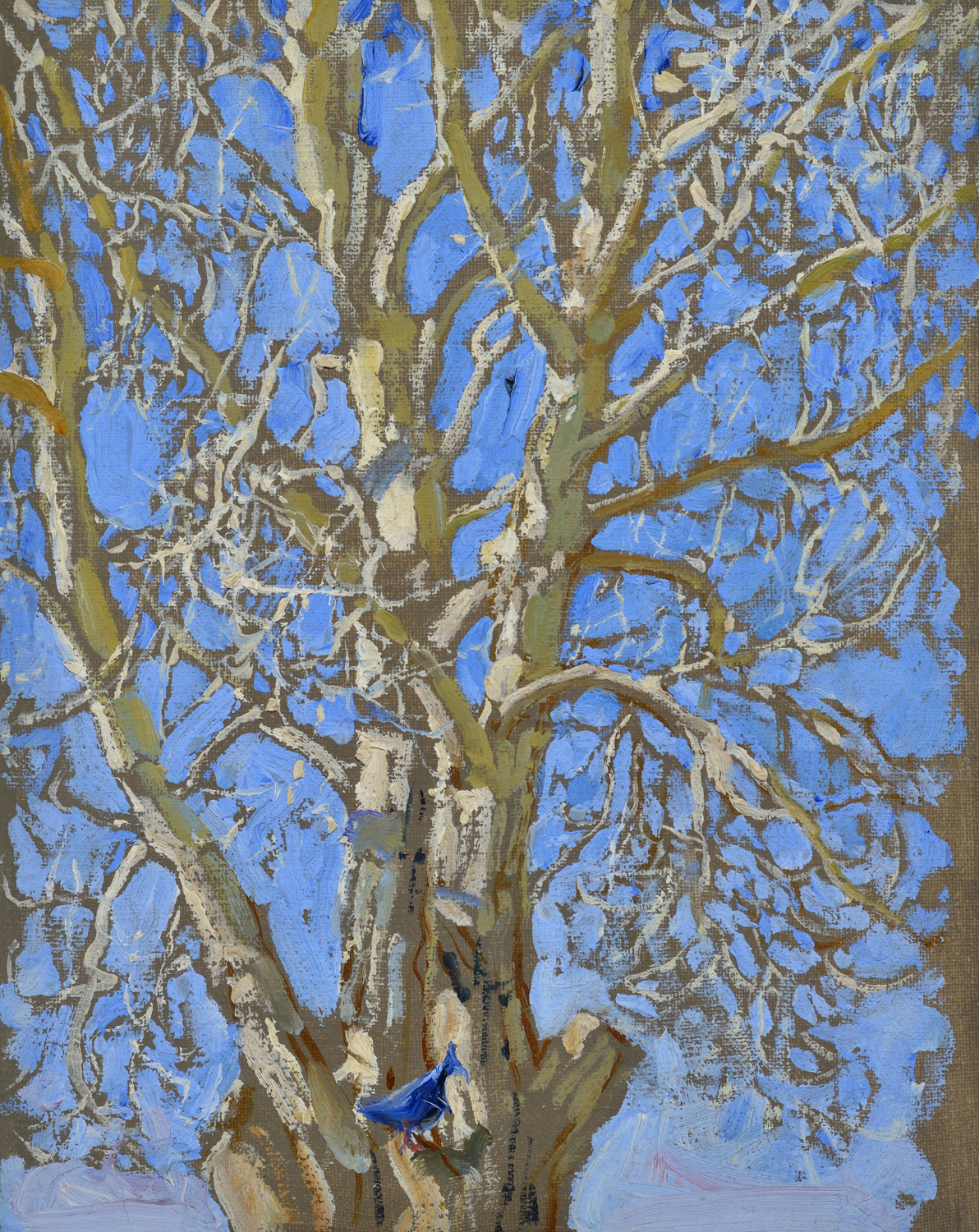 Crack Willow and Blue Bird in New Mexico, 1925
