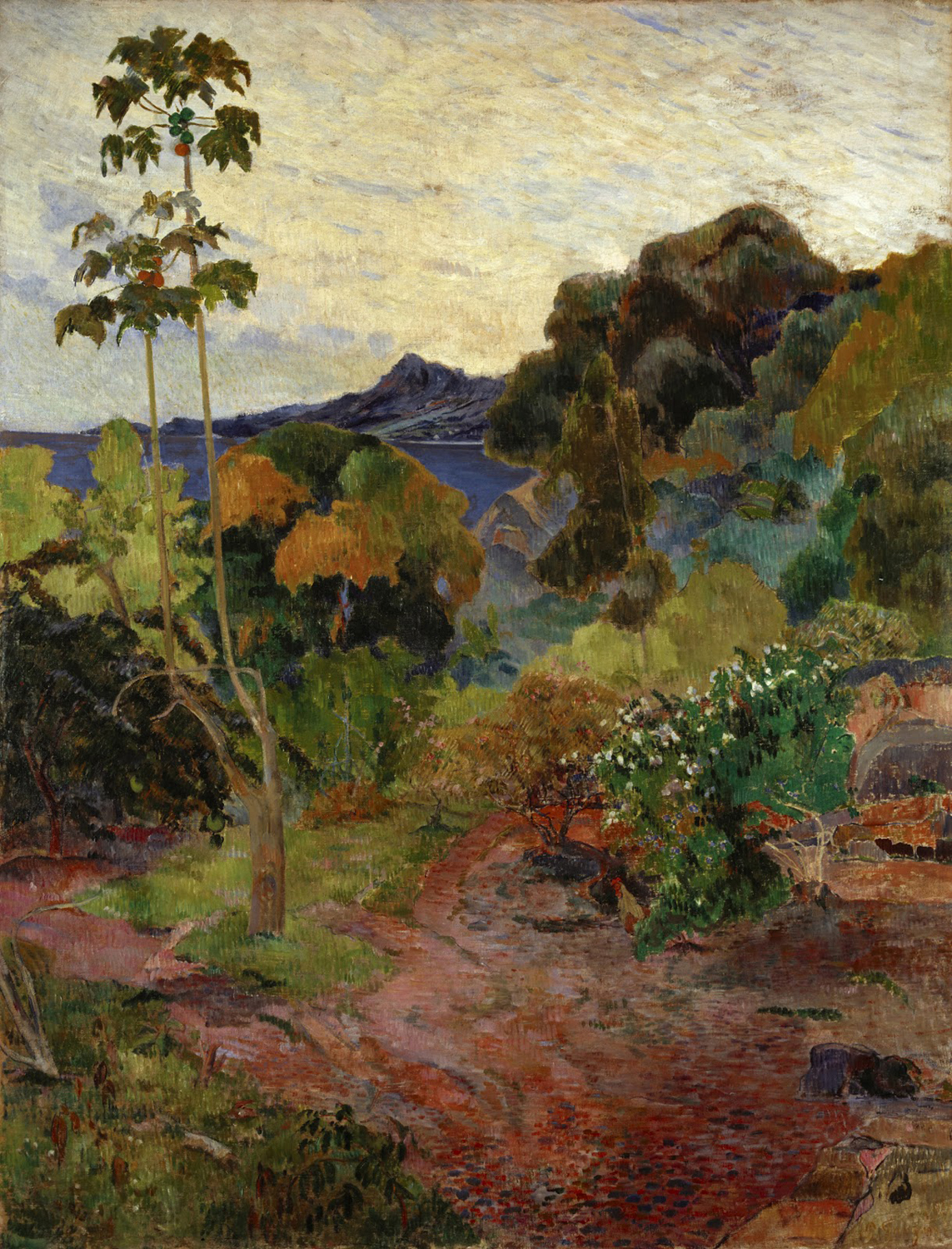 Tropical Vegetation, Martinique, 1887