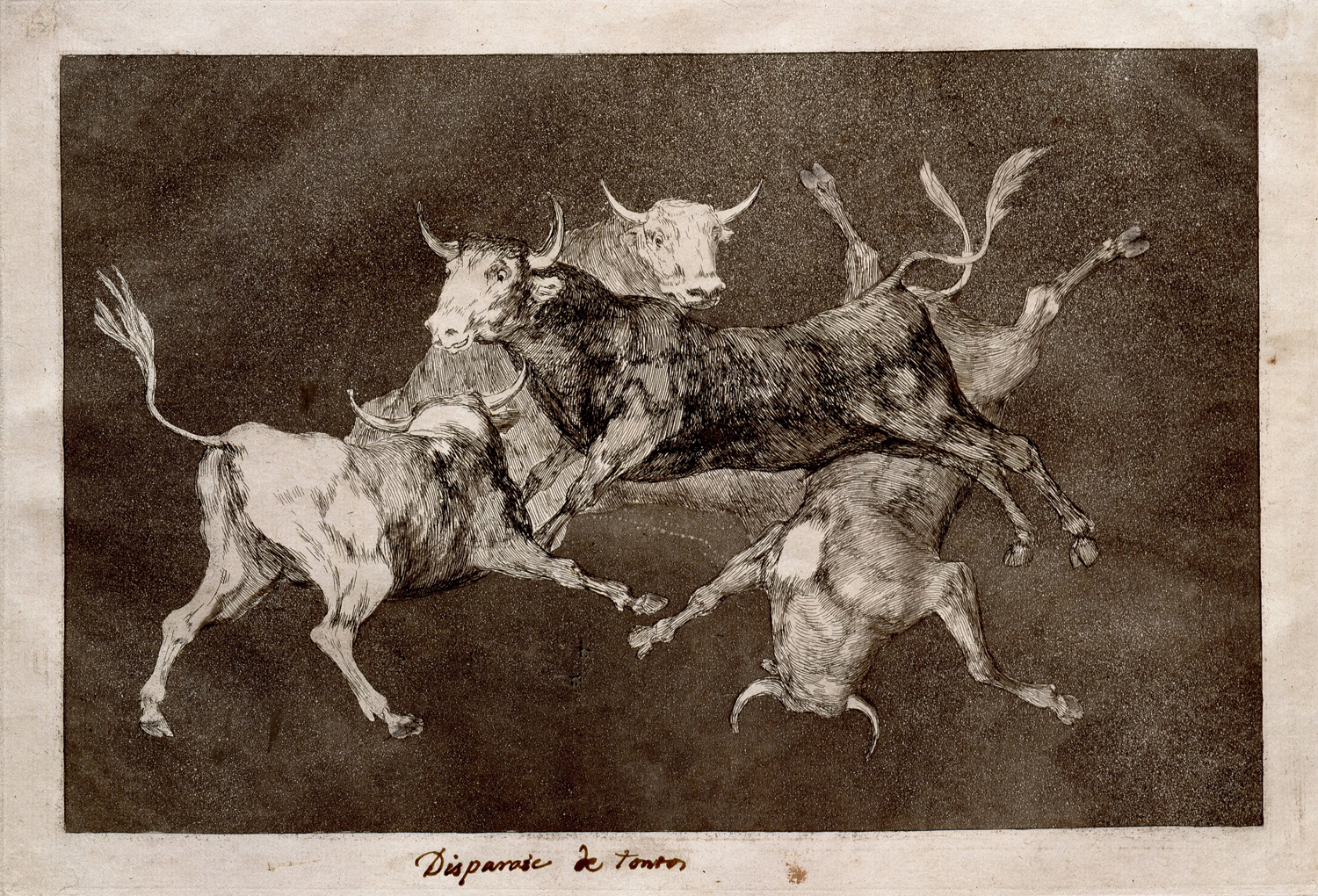 Fools (or Little Bulls), c. 1815-19
