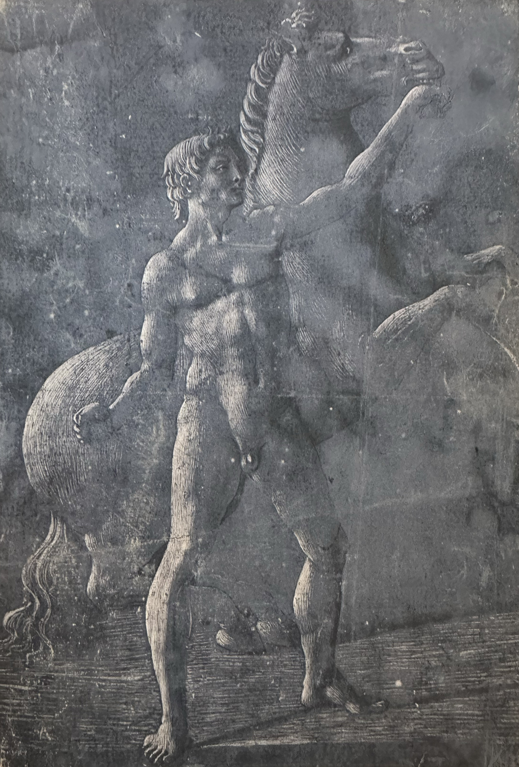 Study After One of the Dioscuri of Monte Cavallo, c. 1446-49
