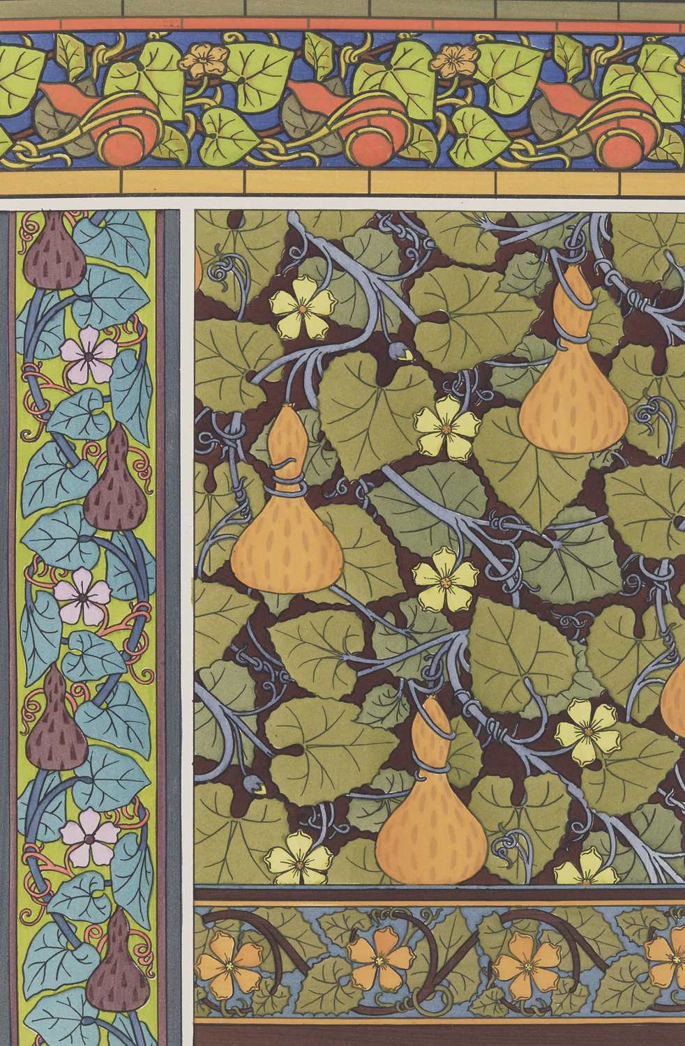 Gourd - The Plant and its Ornamental Applications, 1896