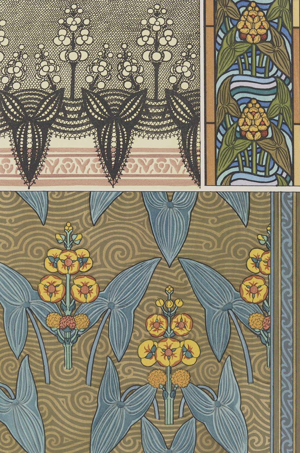 Arrowhead - The Plant and its Ornamental Applications, 1896