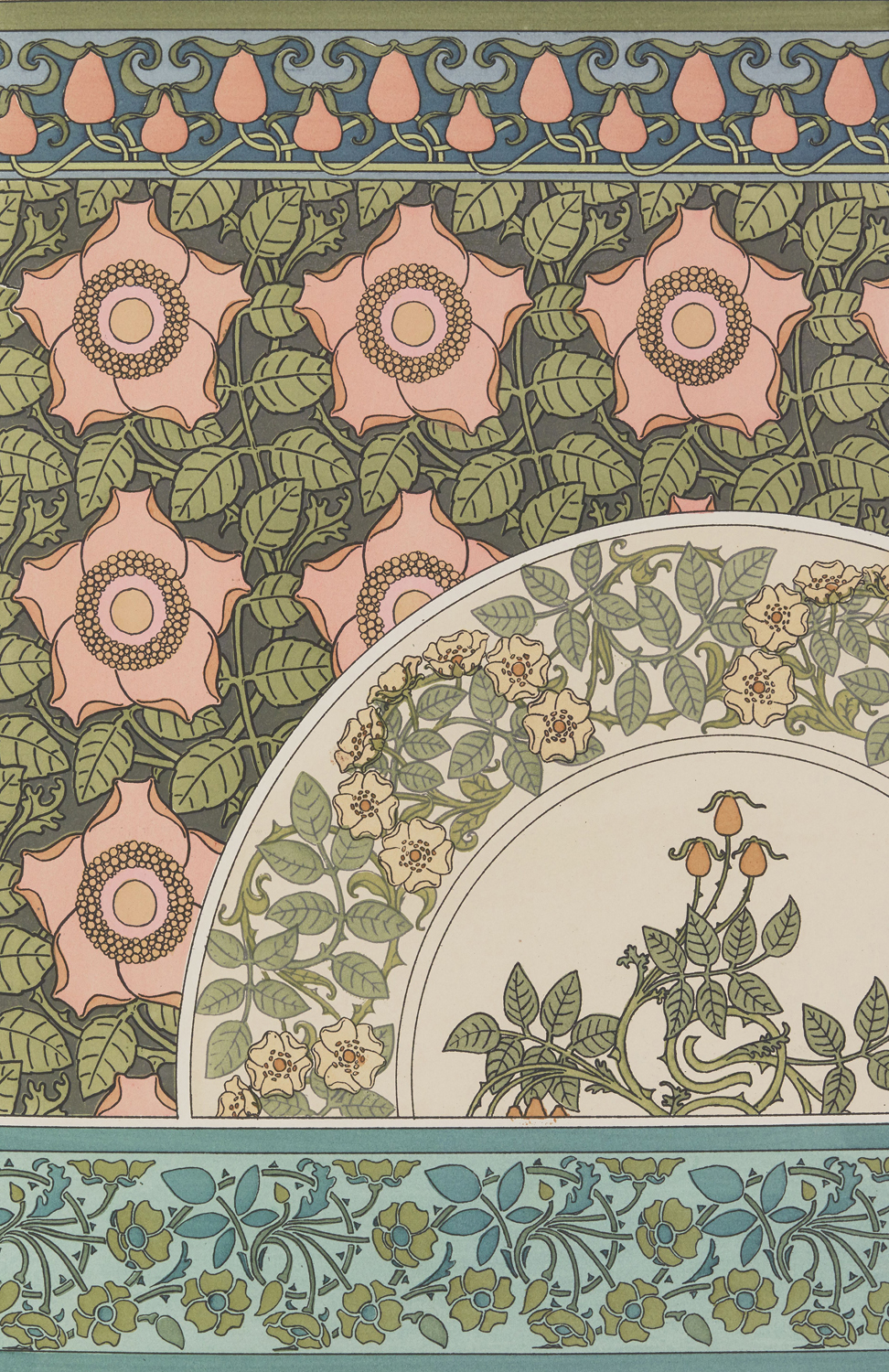 Wild Rose - The Plant and its Ornamental Applications, 1896