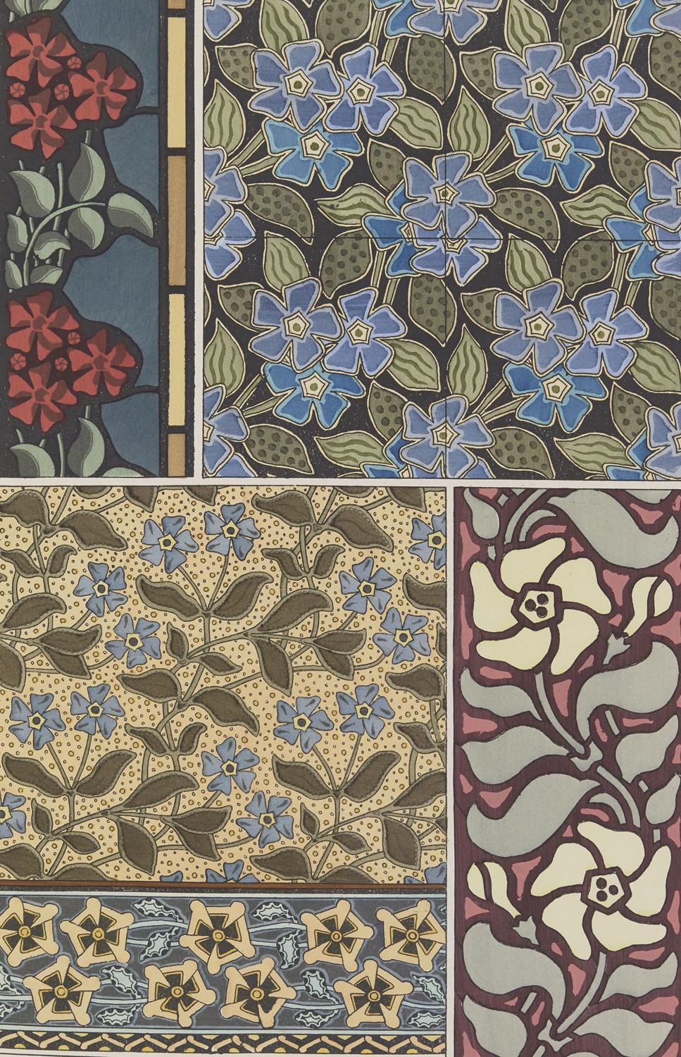 Periwinkle - The Plant and its Ornamental Applications, 1896
