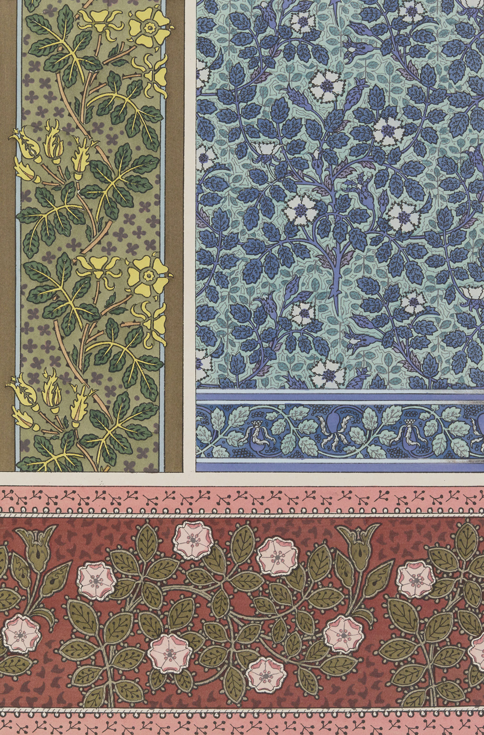 Wild Rose - The Plant and its Ornamental Applications, 1896