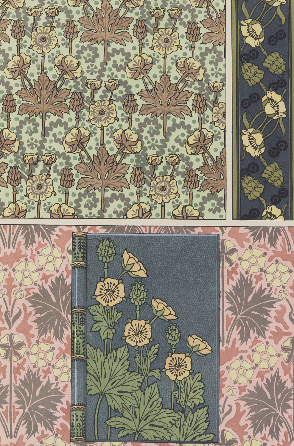 Buttercup - The Plant and its Ornamental Applications, 1896