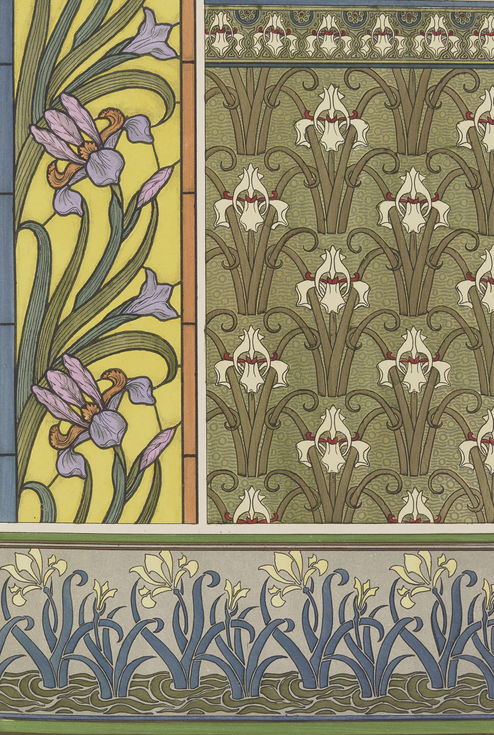 Iris - The Plant and its Ornamental Applications, 1896