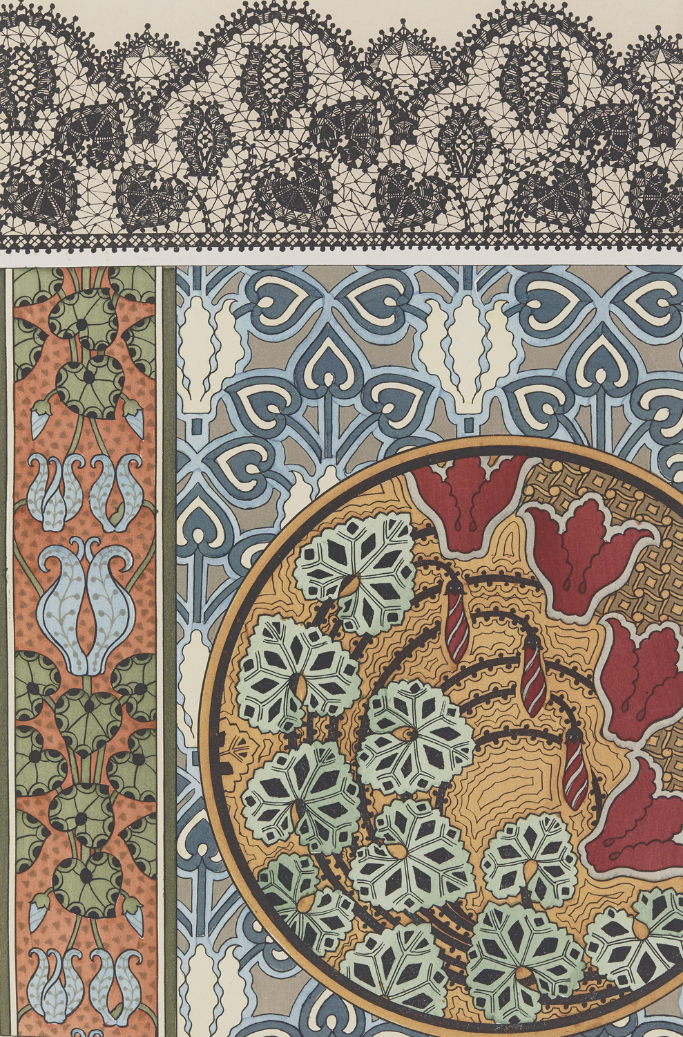 Cyclamen - The Plant and its Ornamental Applications, 1896